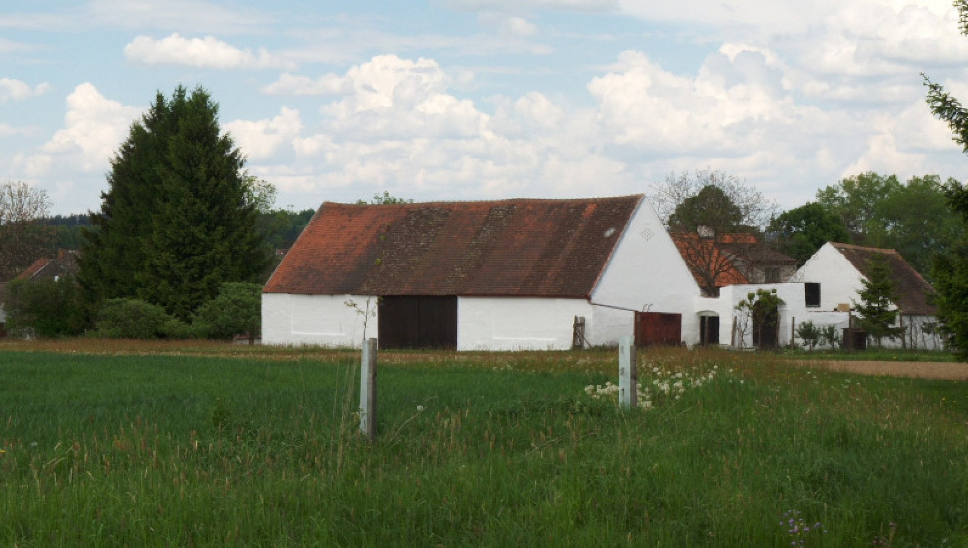 Měnič obrázků - fotografie